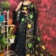 Pan Pata Soft Black Handloom Sari With Blouse Piece