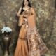 Coffee Soft Jamdani Sari With Blause Piece