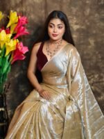 Exclusive Dual Tone Plain Tissue Sari With Chumki Work