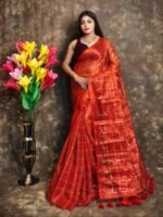 Exclusive Dual Tone Plain Tissue Sari With Chumki Work