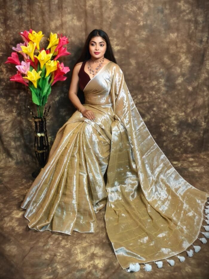 Exclusive Dual Tone Plain Tissue Sari With Chumki Work