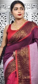 Exclusive Multi Color Handloom Saree