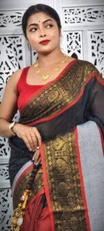 Exclusive Multi Color Handloom Saree
