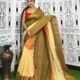 Exclusive Multi Color Handloom Saree