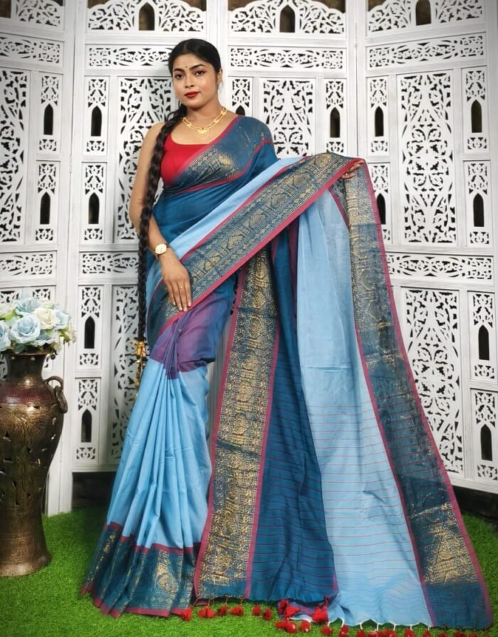 Exclusive Multi Color Handloom Saree
