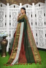 Exclusive Multi Color Handloom Saree