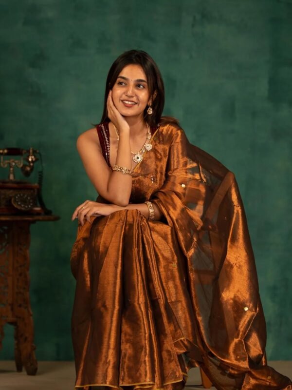 Plain Tissue Sari With Chumki Work - Coffee