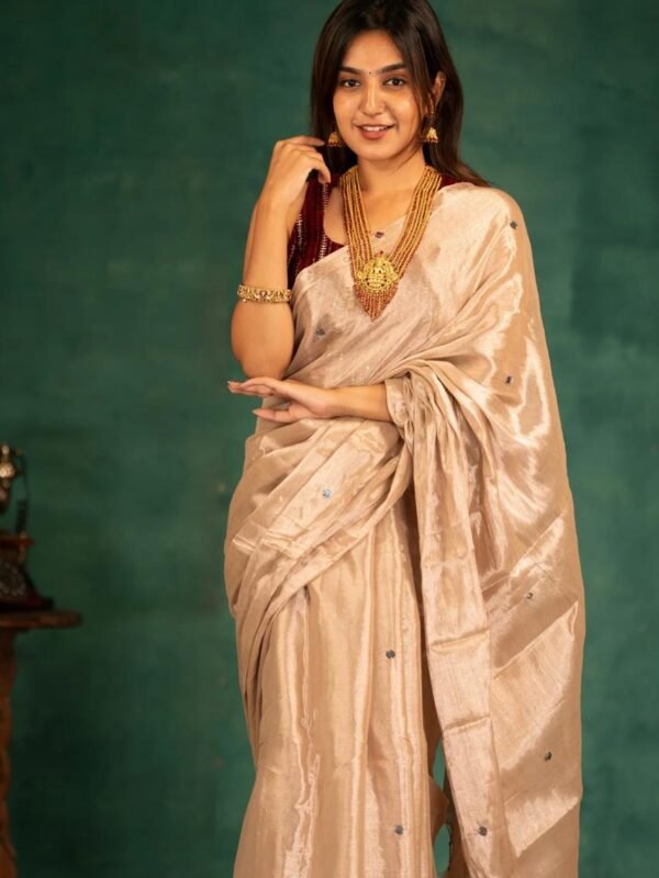 Plain Tissue Sari With Chumki Work - Light Taupe