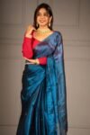 Plain Tissue Sari With Chumki Work - Venice Blue